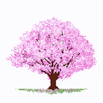 1,000 Japanese SAKURA