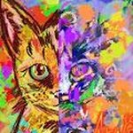 101 Cats