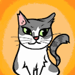 1K Cats Project