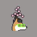 BONSAI HEAD