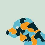 Crypto Camouflage Animals