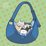 Cats and Favorite Time