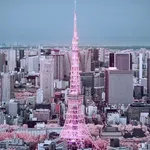 Shiifon