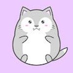 Chubby-animals