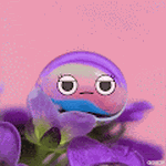 COROP