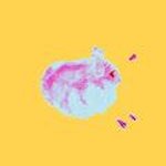 (cozaco)'s Hamster Art Collection