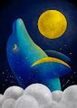 Crypto Sky Collection