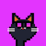 Crypto Easy Cats