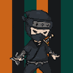 CryptoNinja 8bit