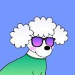 Dog Poodle Sunglasses