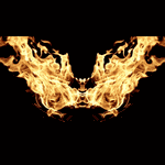 Phoenix Photo NFT