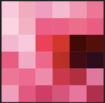 FLOWER  PIXELS