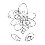 Flower and people