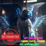 For Transfer-Test