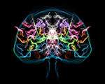 God In The Brain