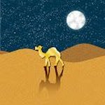 Golden camel's journey