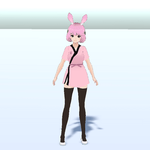 Kawaii Collectibles