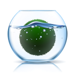 marimo.life