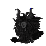 MetaMoja