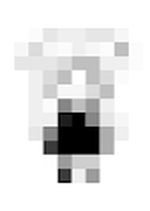 mico ???series