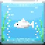 pixel minikawa AQUARIUM
