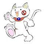 Mr.Ika Ring