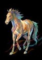Nanami's Horse Collections