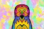 NAnaNA  Colorful world