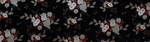 sonota_collection