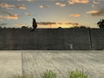 nonnbe's collection -NFT where cats travels-