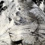 Re:collage art