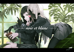 Noir et Blanc collection
