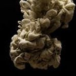 takio koizumi Art Collection