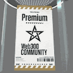 Web300 Premium Ticket