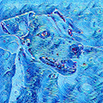 AniMo -Animals in Motion-