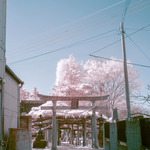 YUUUI's Infrared Photography Collection